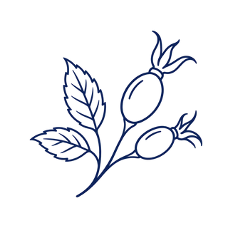 Botanicals von der Küste