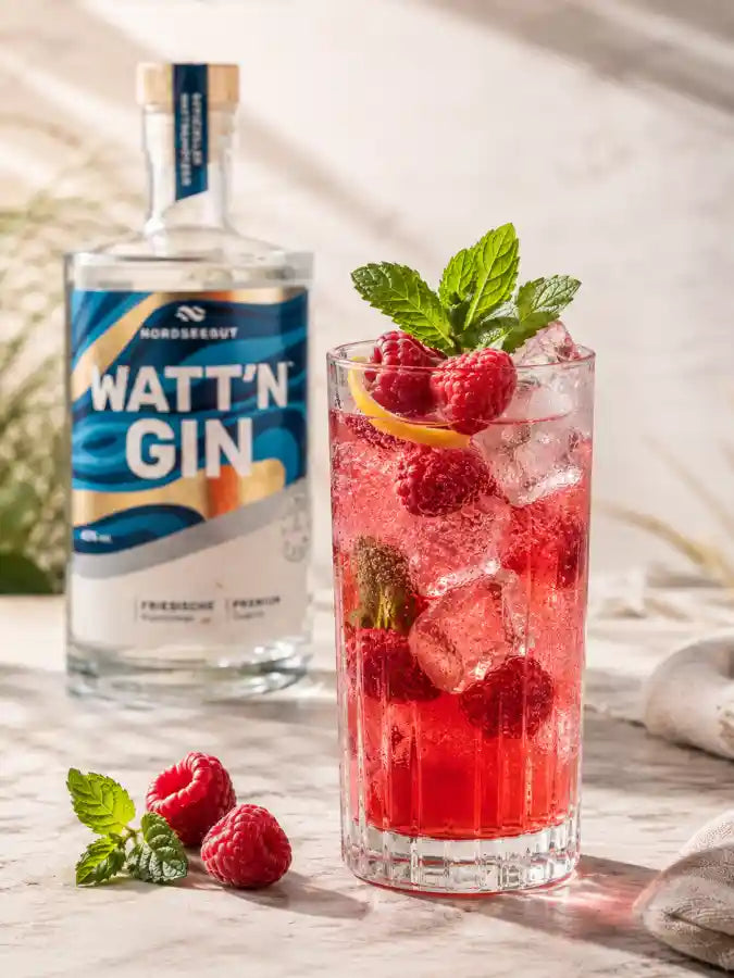 Himbeer-Gin-Tonic mit Minze